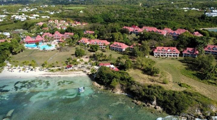 Studio Cosy, Vue Sur Mer Villages Vacances Sainte Anne Cheques Vacances Acceptes Eksteriør billede